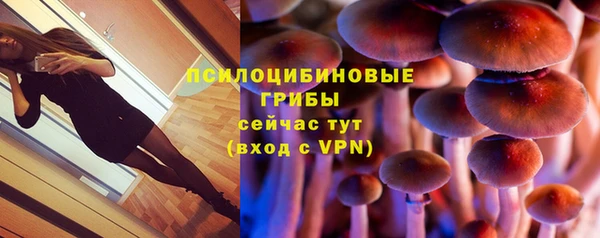 кокс Вяземский