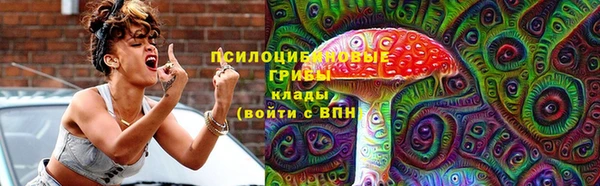 кокс Вяземский