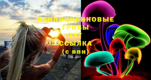 молекула духа Вязники