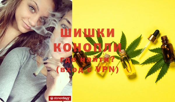 кокс Вяземский