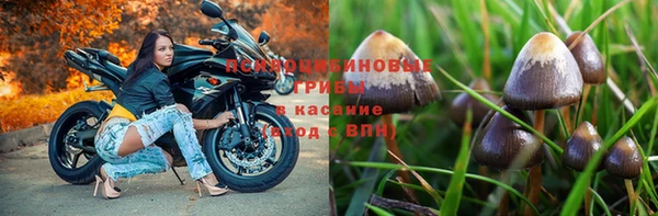 кокс Вяземский