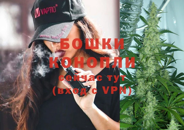 кокс Вяземский