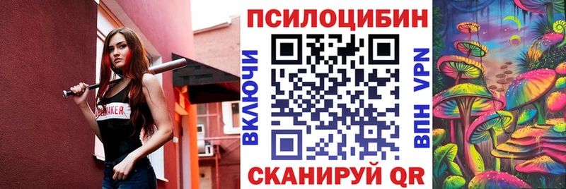 Галлюциногенные грибы Psilocybine cubensis  Купить где  Меленки 